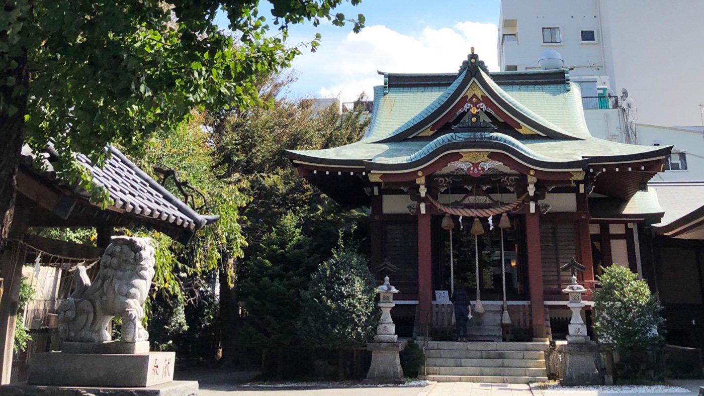 和田洋FPが毎月足を運ぶ柏神社の、緑に囲まれた拝殿の写真